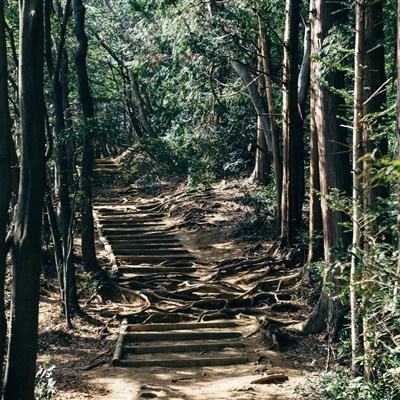乱逗start手游