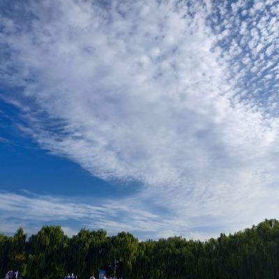 凛冬部落手游正版下载