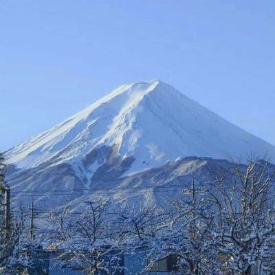 九游恋与高校手游下载